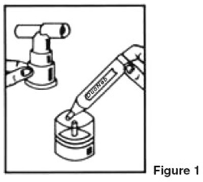 Image Of Figure 1 (Figure 1)